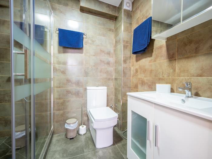 En-suite bathroom with walk-in shower with rainhead, sink and toilet