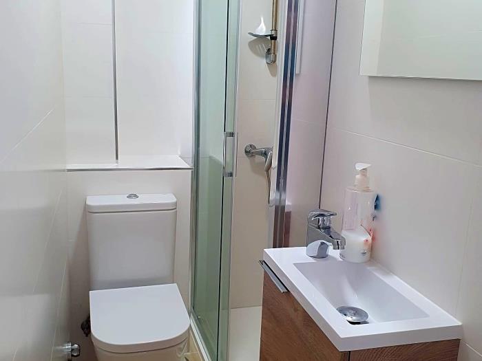 Service toilet with walk in shower and small sink